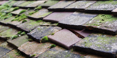 Heather roof repair costs